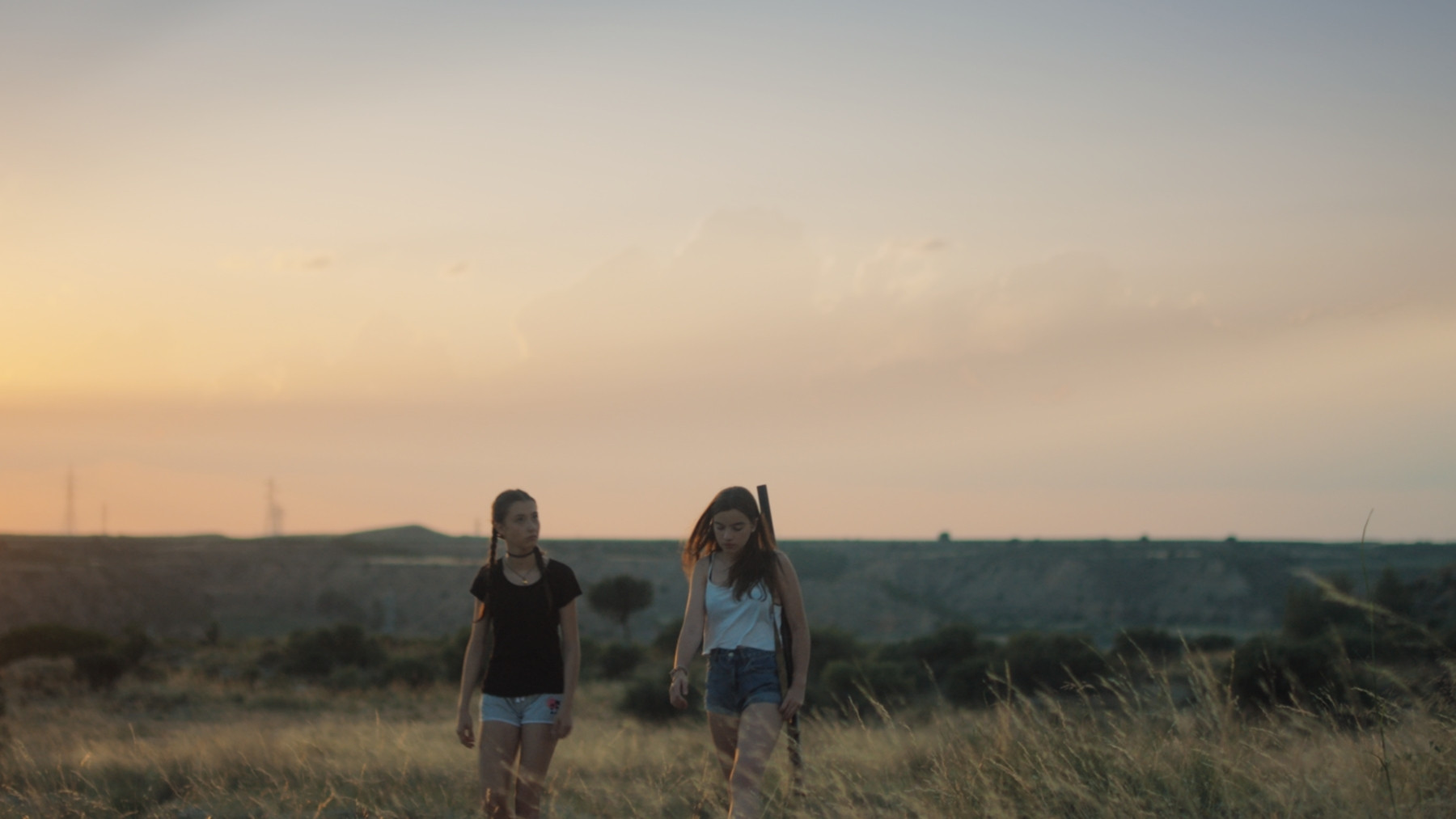 The Perseids Background