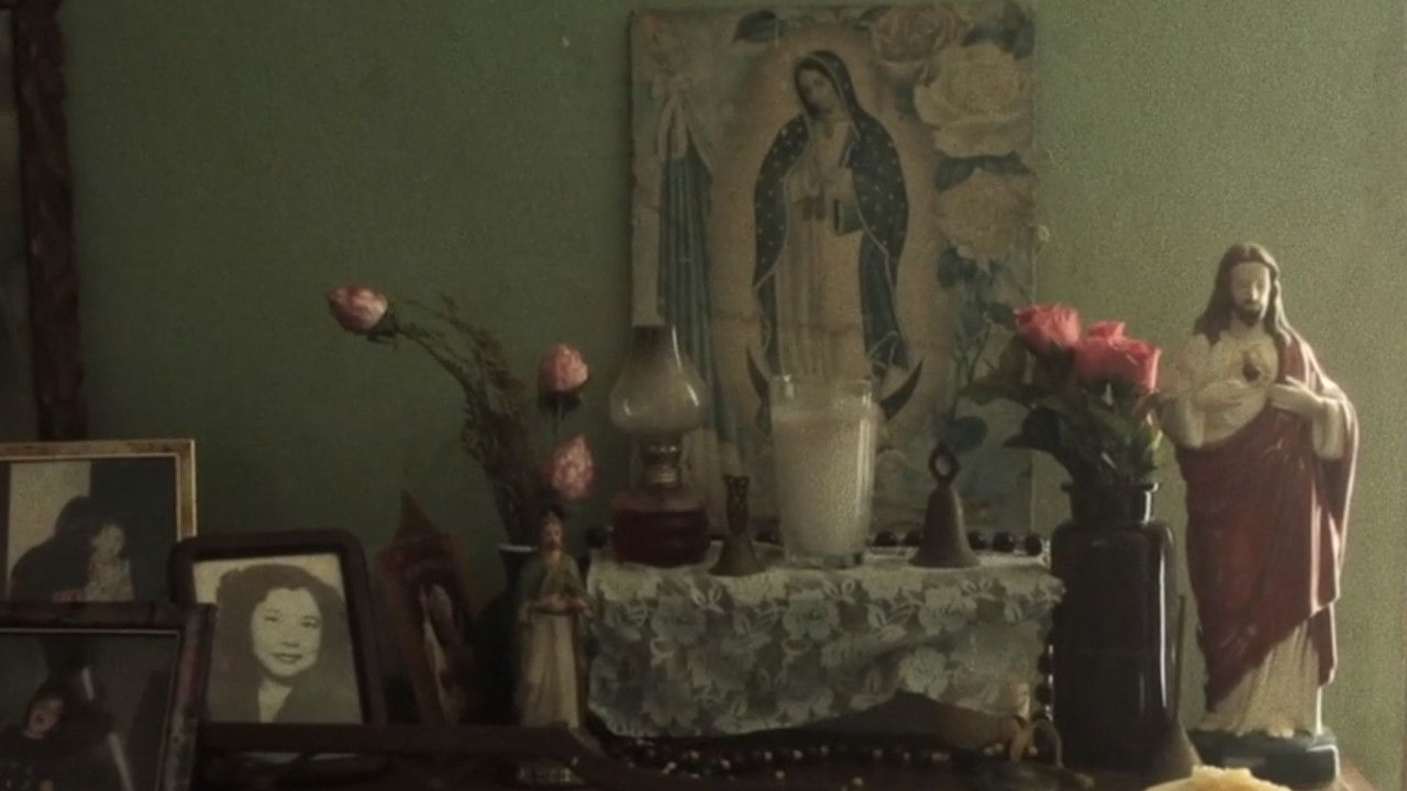 La Carnada Background