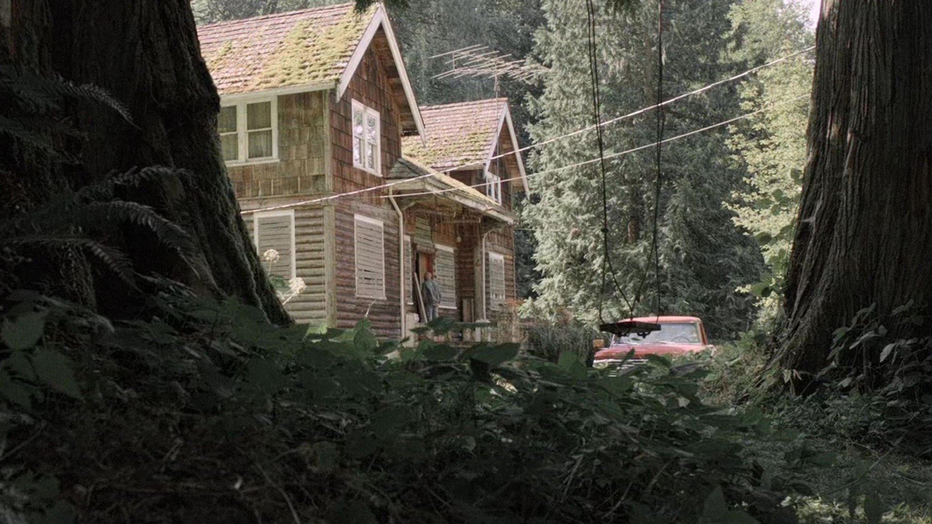 The Unspoken Truth Background