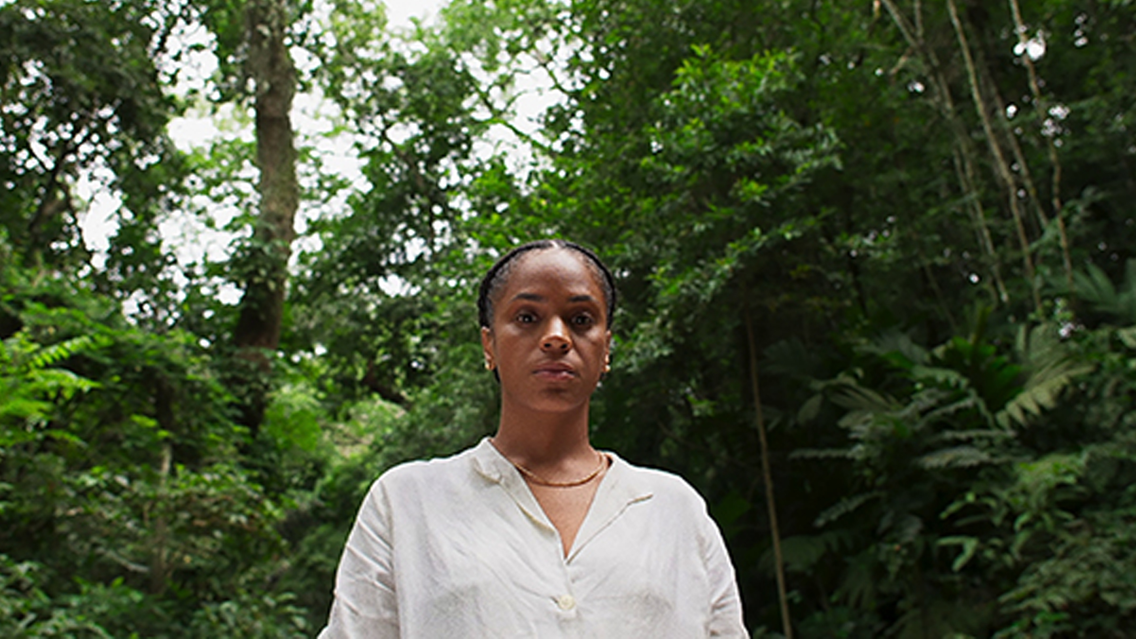 Laudelina e a felicidade guerreira Background