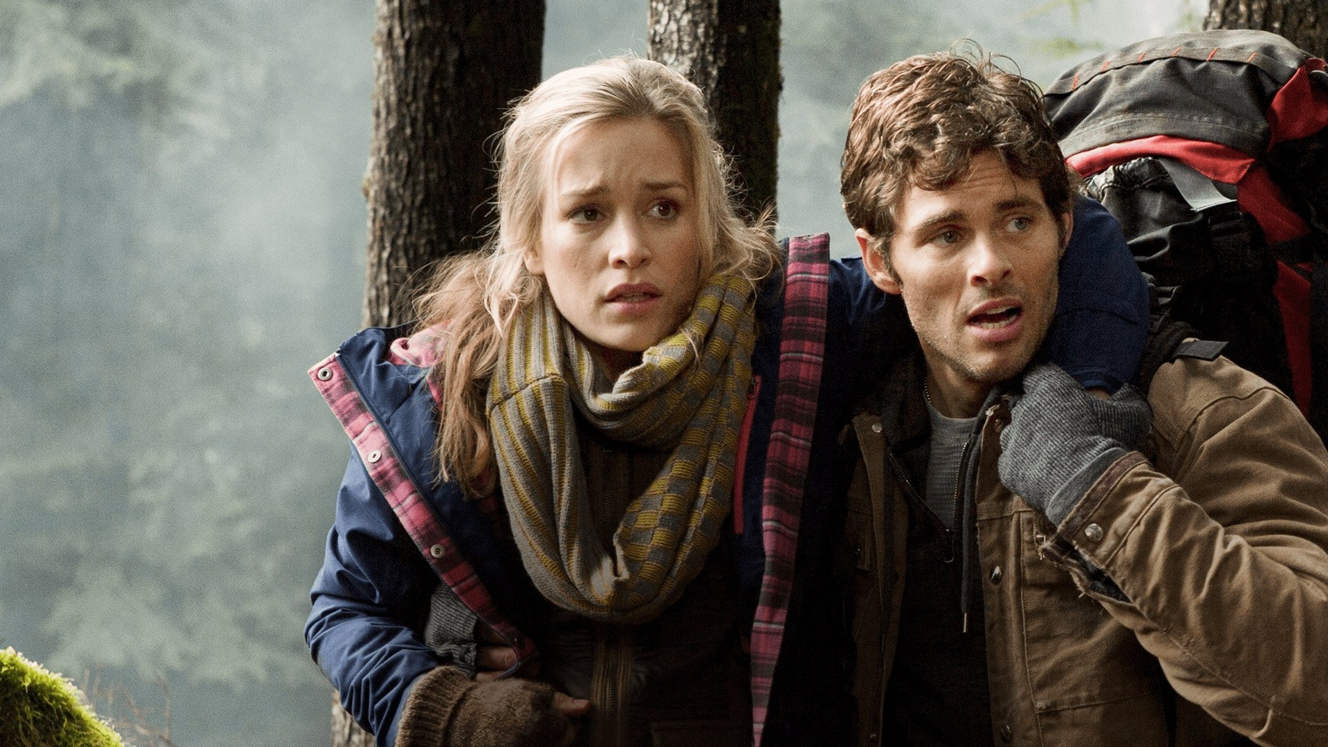 Into the Grizzly Maze Background