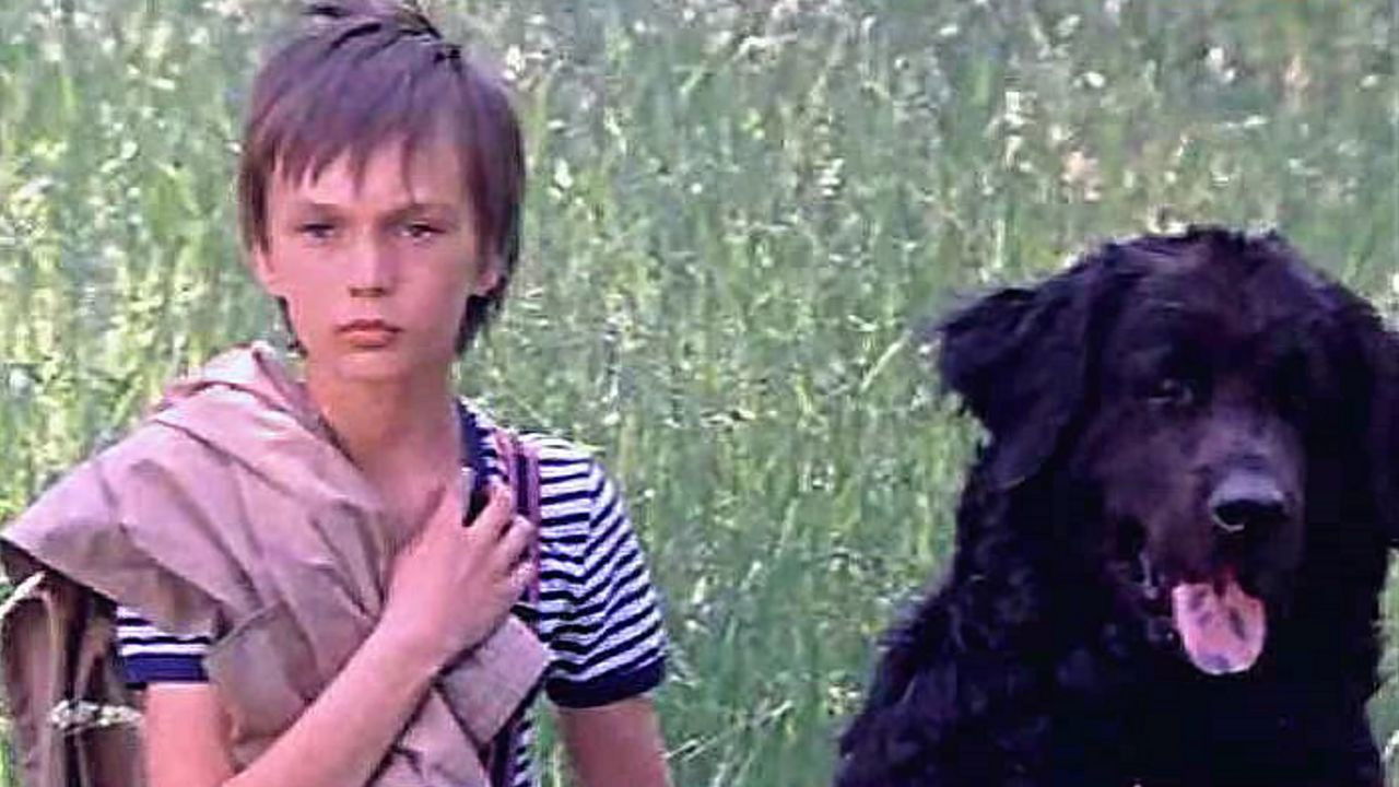 Every Hunter Wants To Know Background