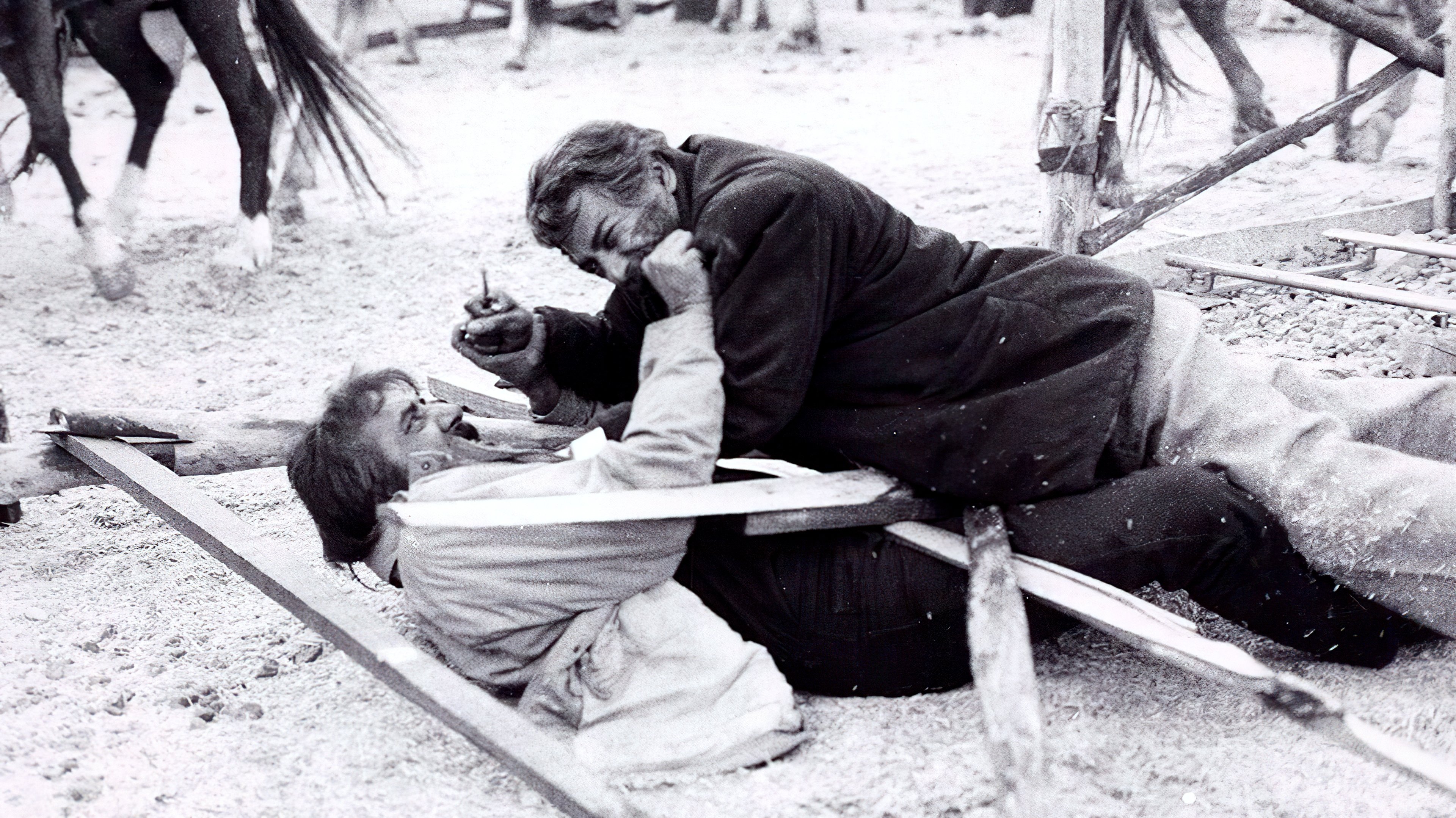 The Wolf's Trail Background