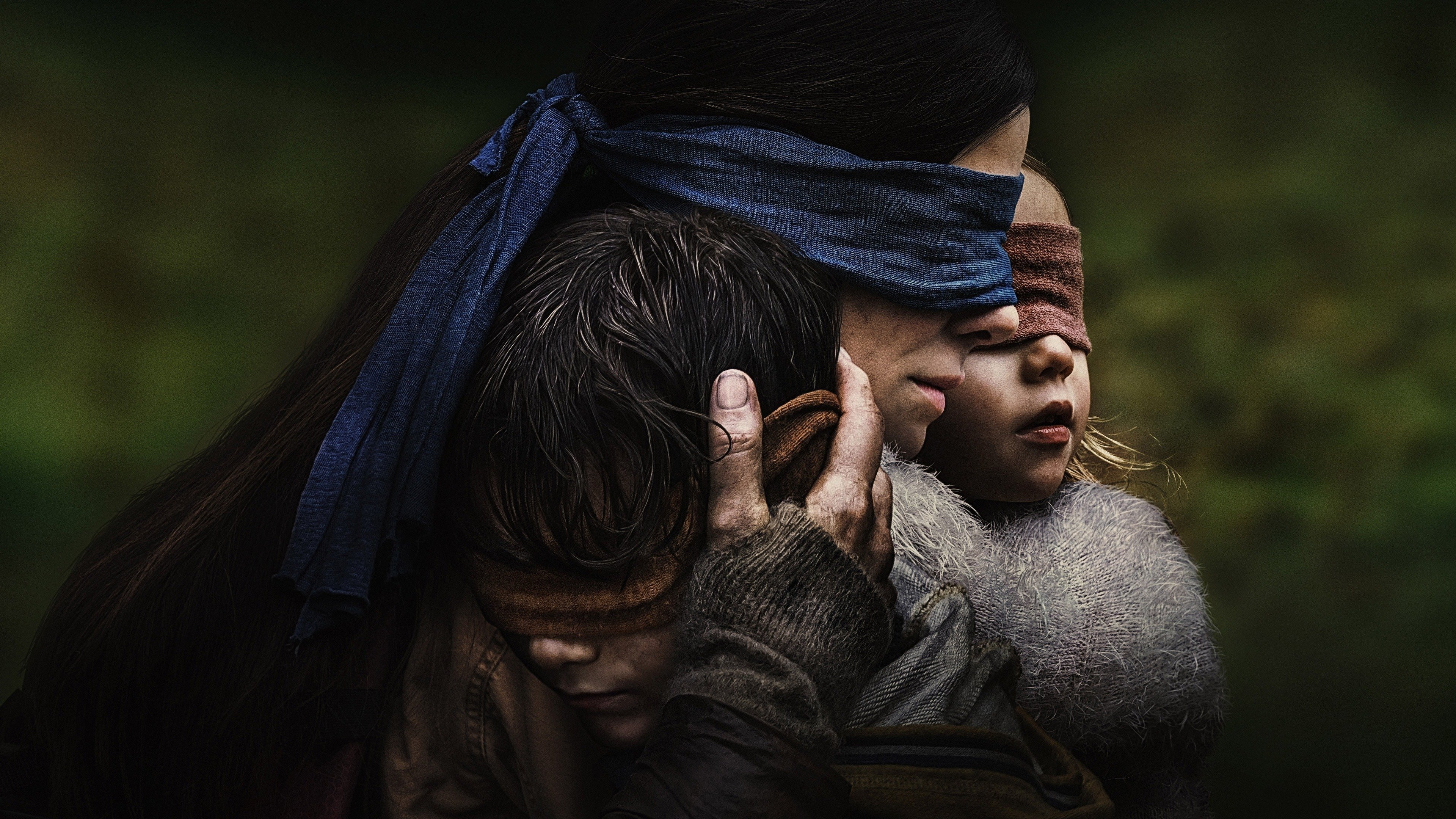 Bird Box Background