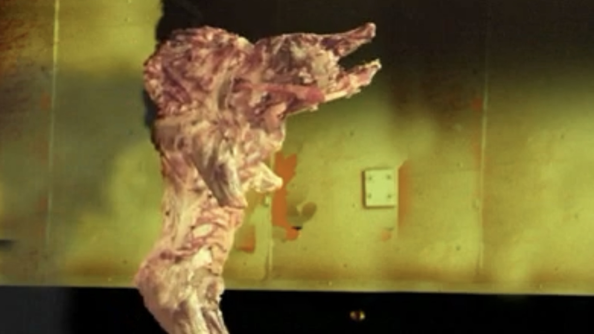 The Pig Walks Background