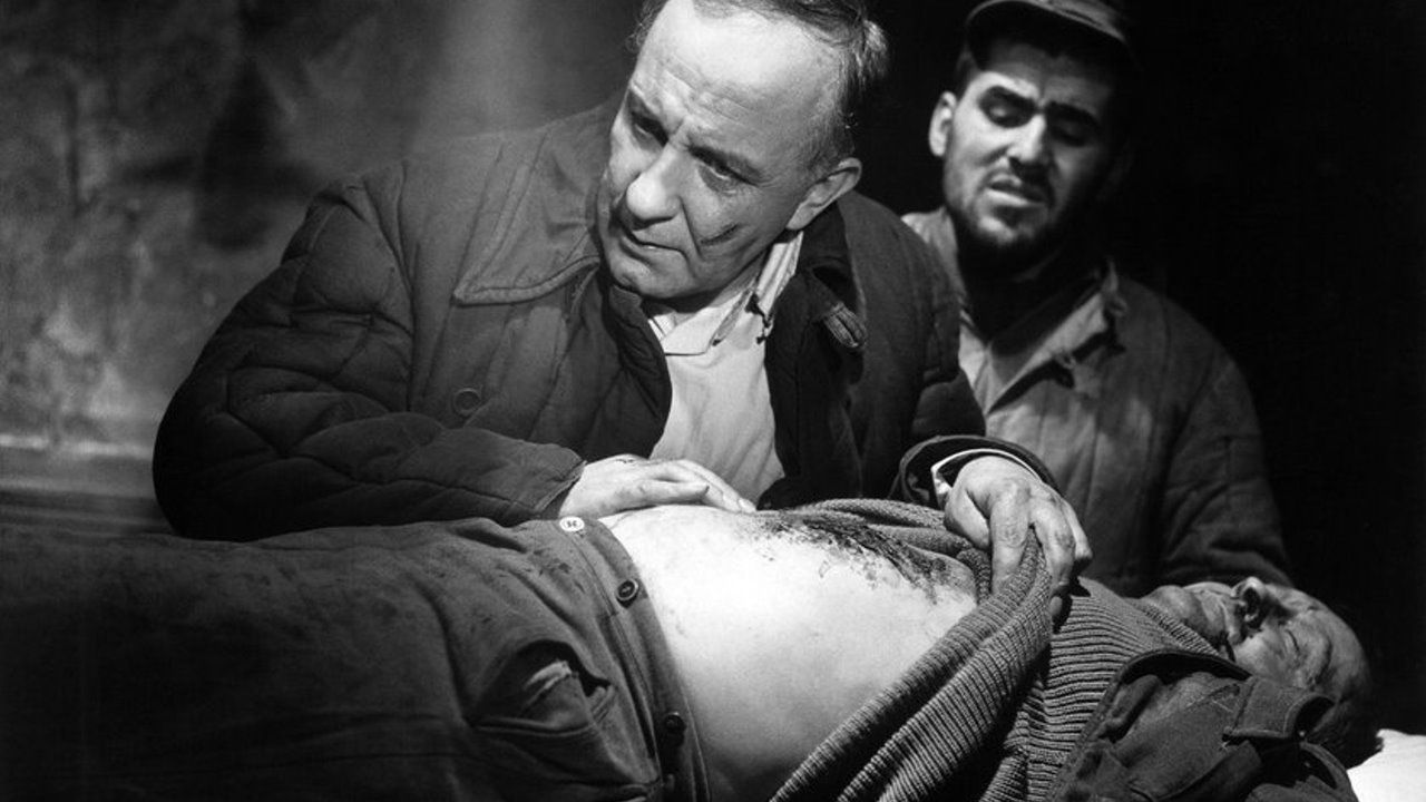 The Doctor of Stalingrad Background