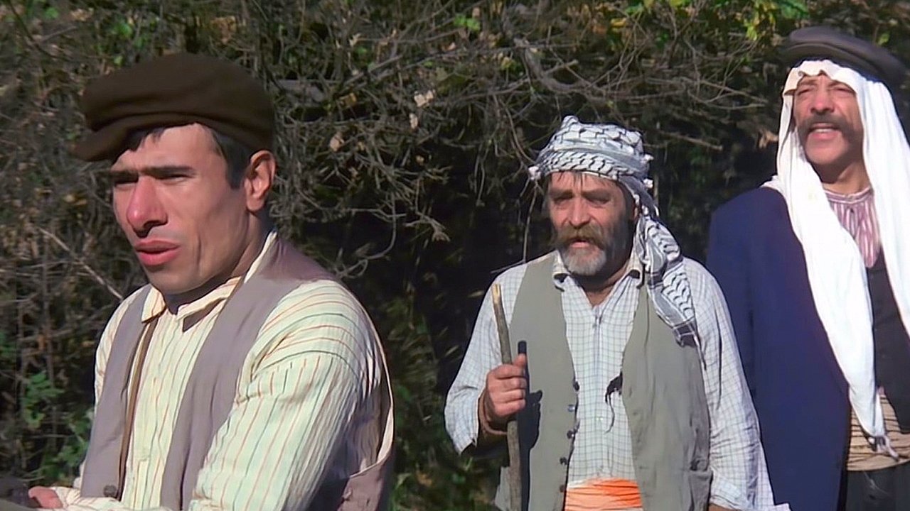 Handsome Poor Bilo Background