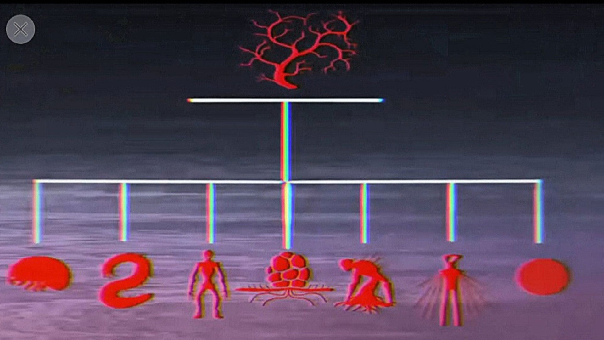 Vita Carnis - Living Meat Documentary Background