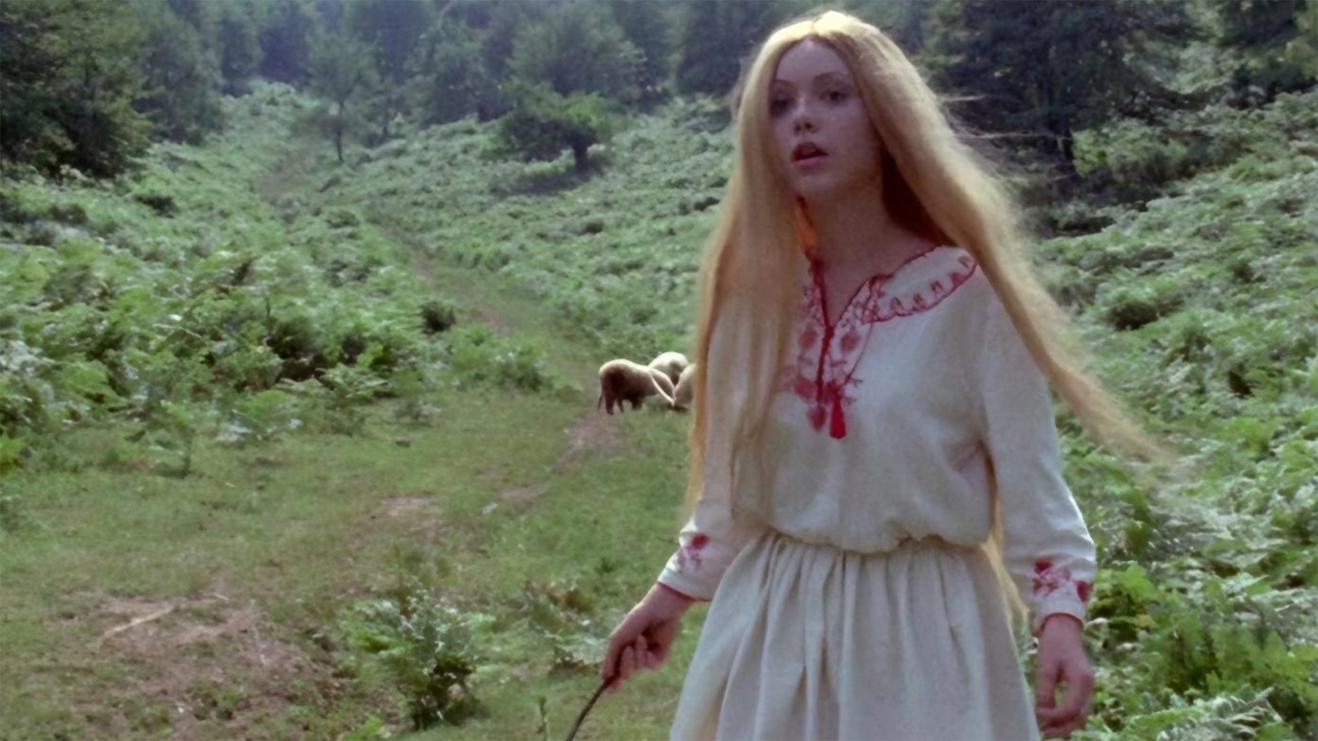 Leptirica Background