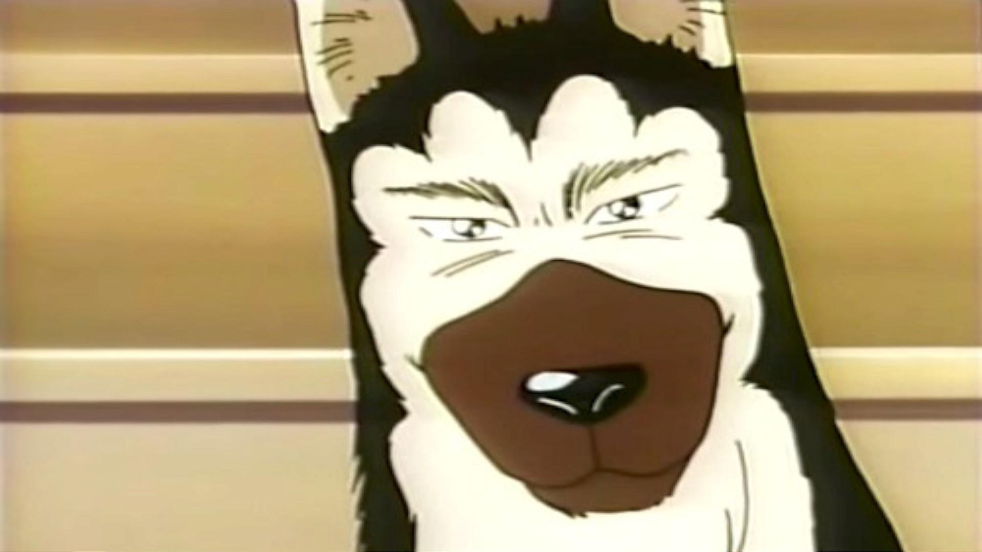 Kennel Tokorozawa Background