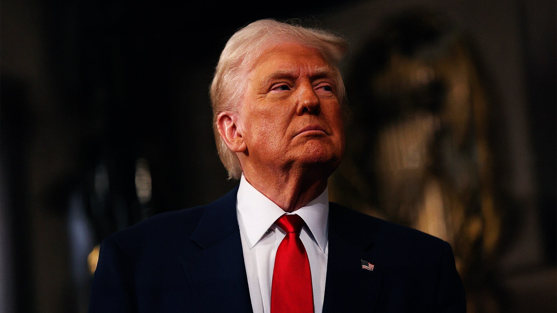 The Donald Trump Show Background