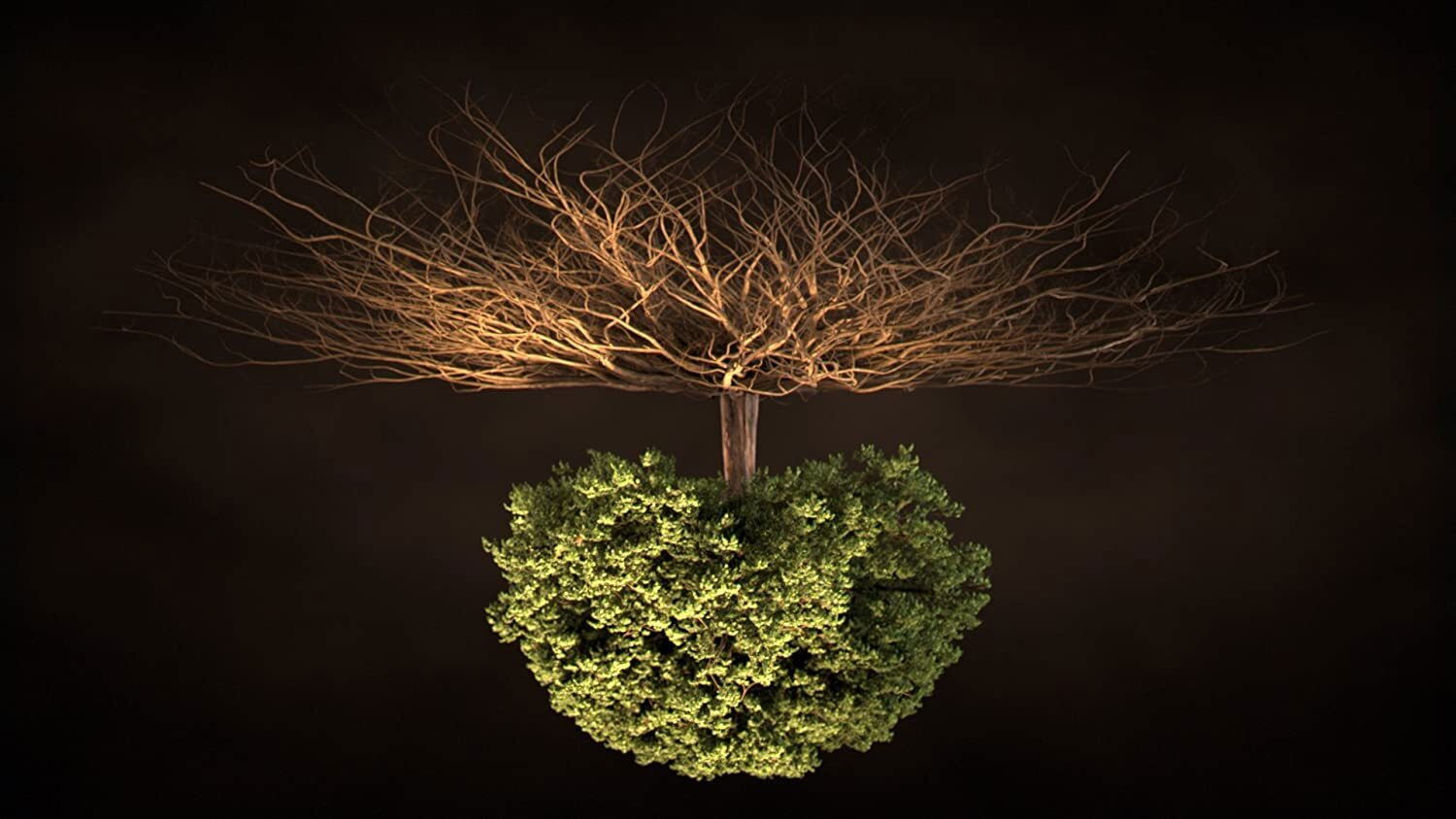 Voyage sous nos pieds Background