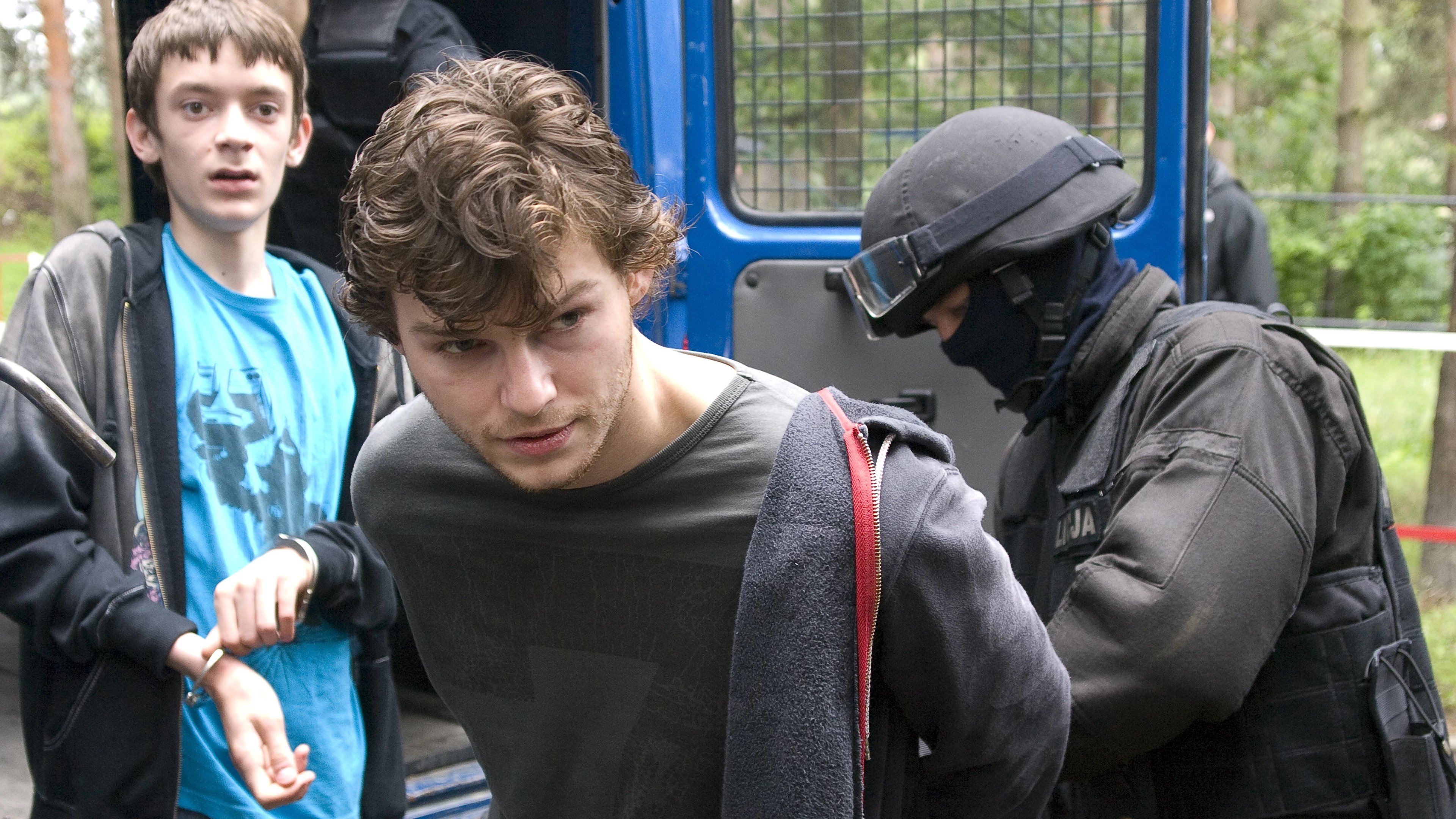 Mother Teresa of Cats Background