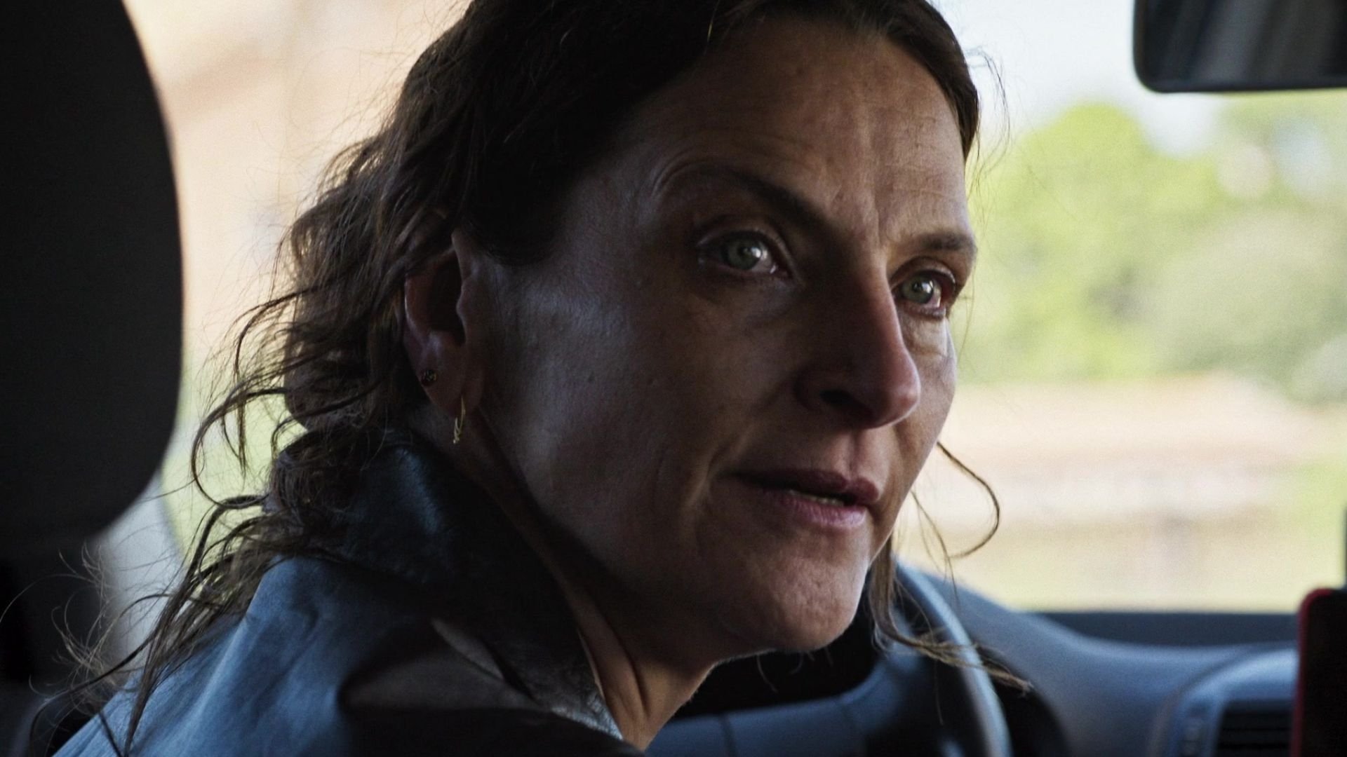 Los Tortuga Background