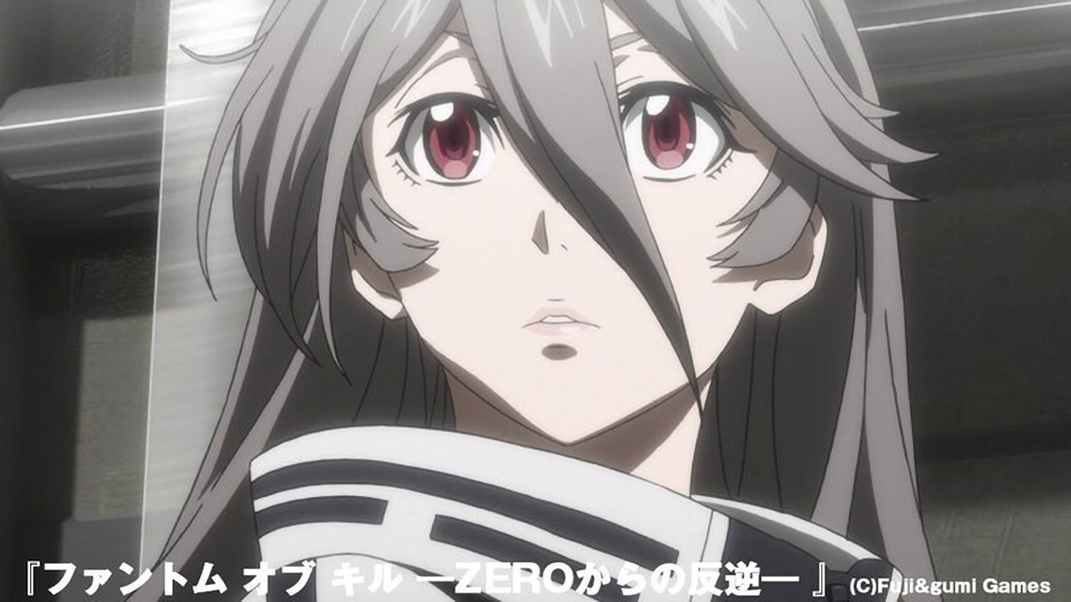 Phantom of the Kill: Zero's Rebellion Background