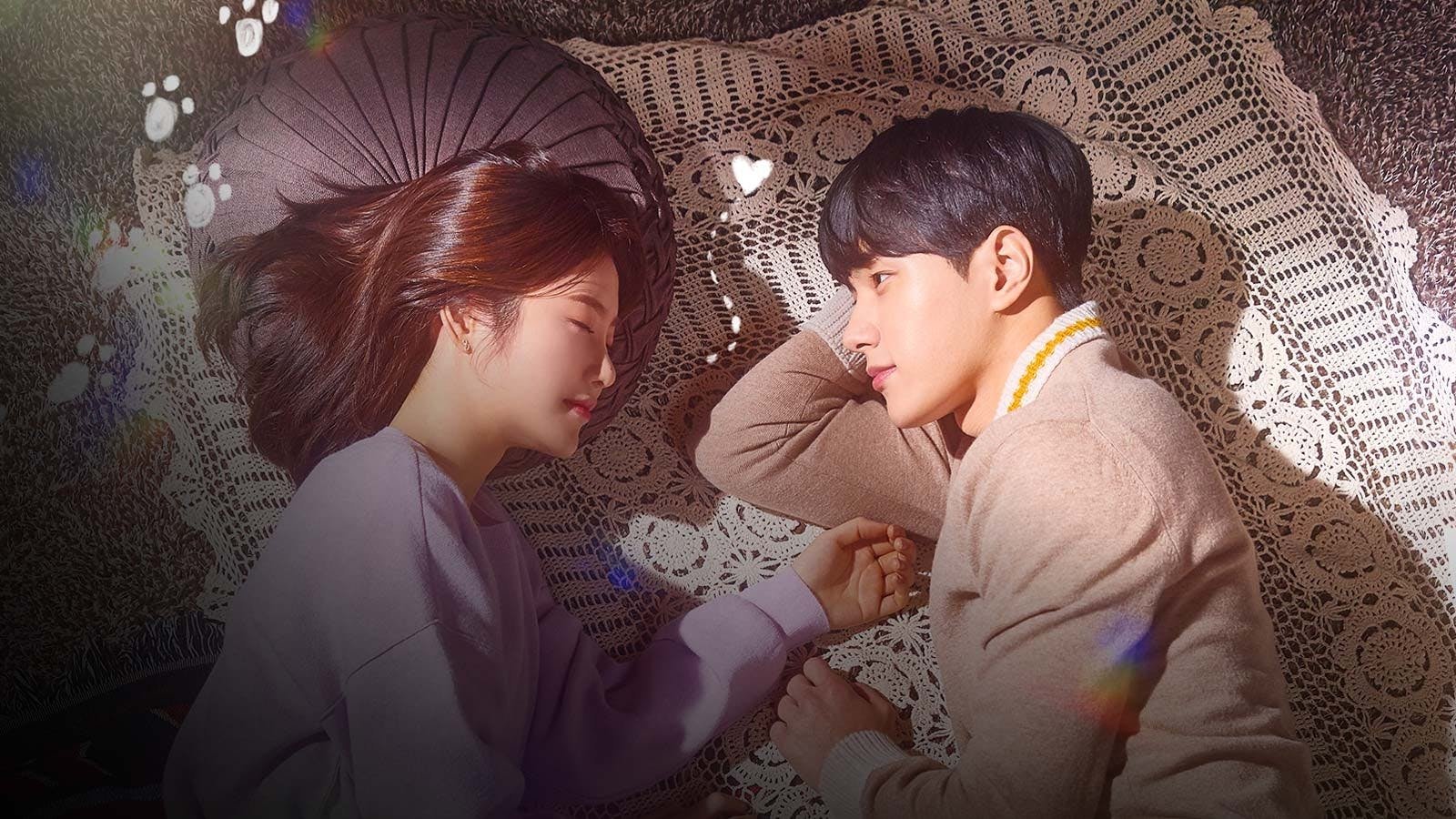 Meow, the Secret Boy Background