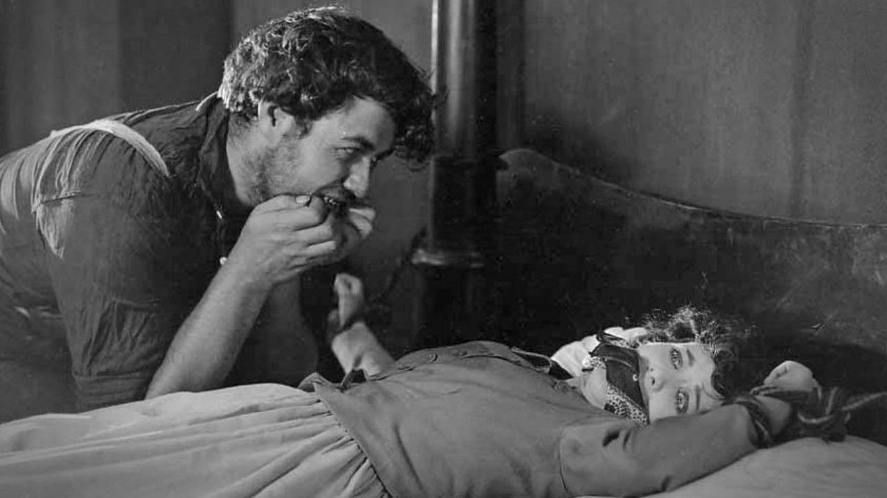 Wild Oranges Background