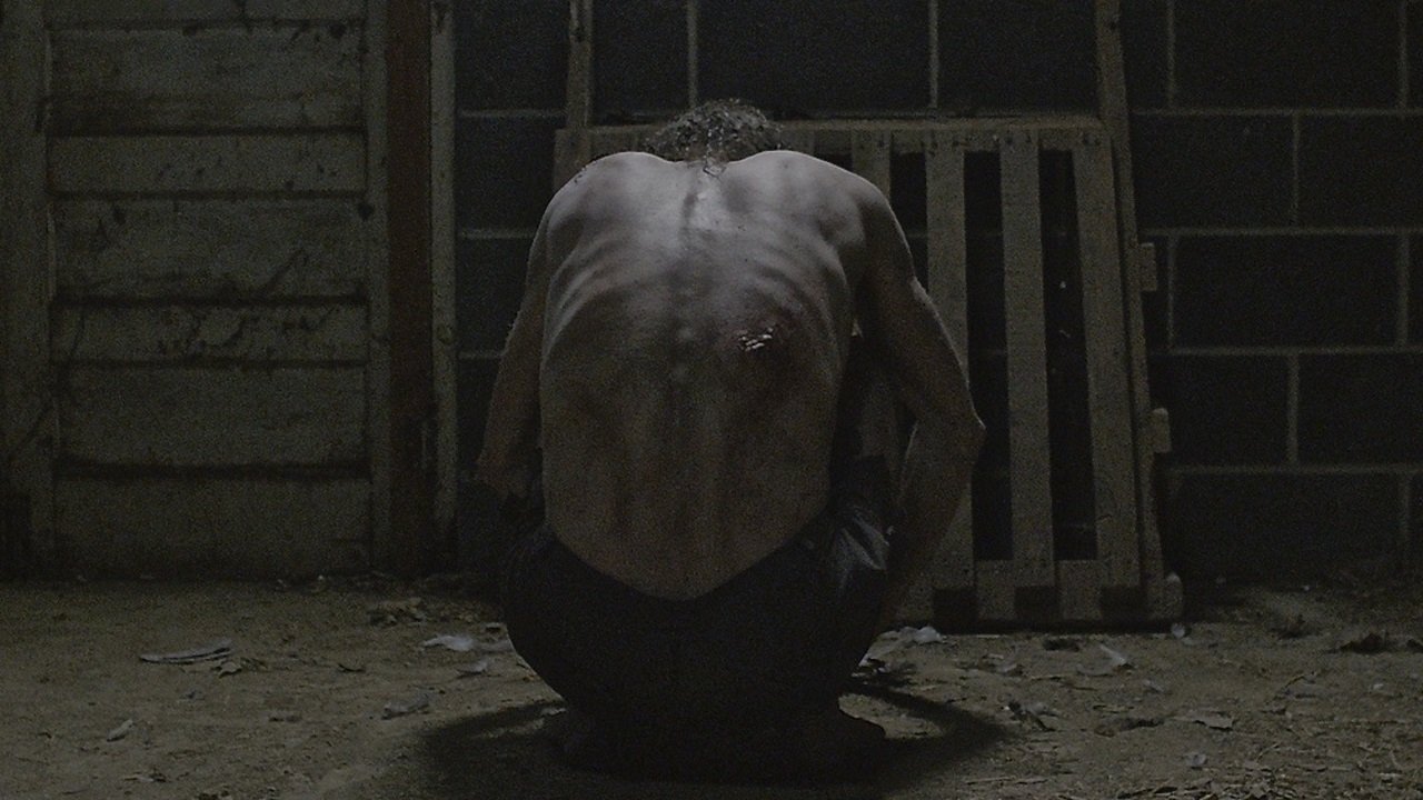 The Suffering Background