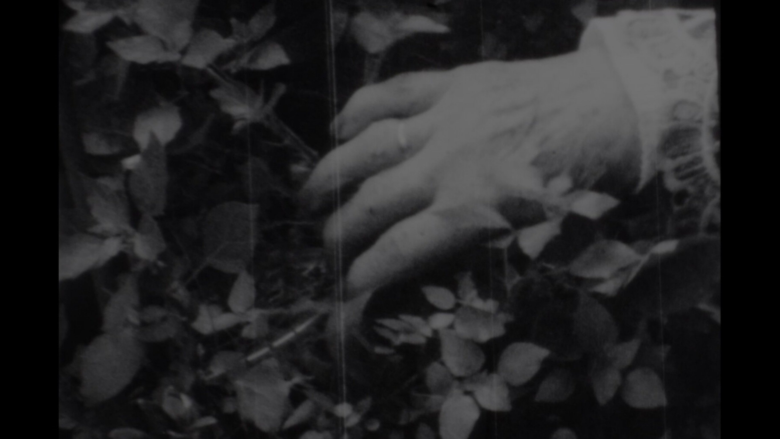 Manta de granizo Background