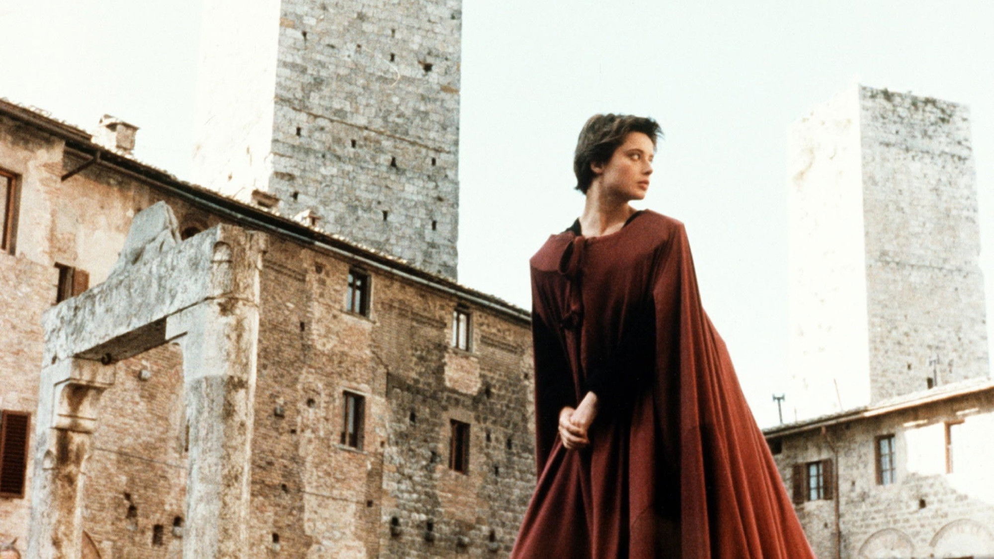 The Meadow Background