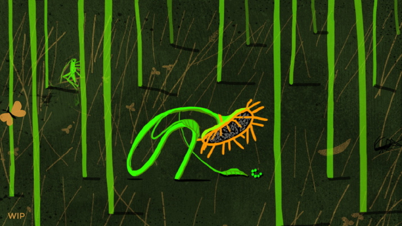 Sunflower Background