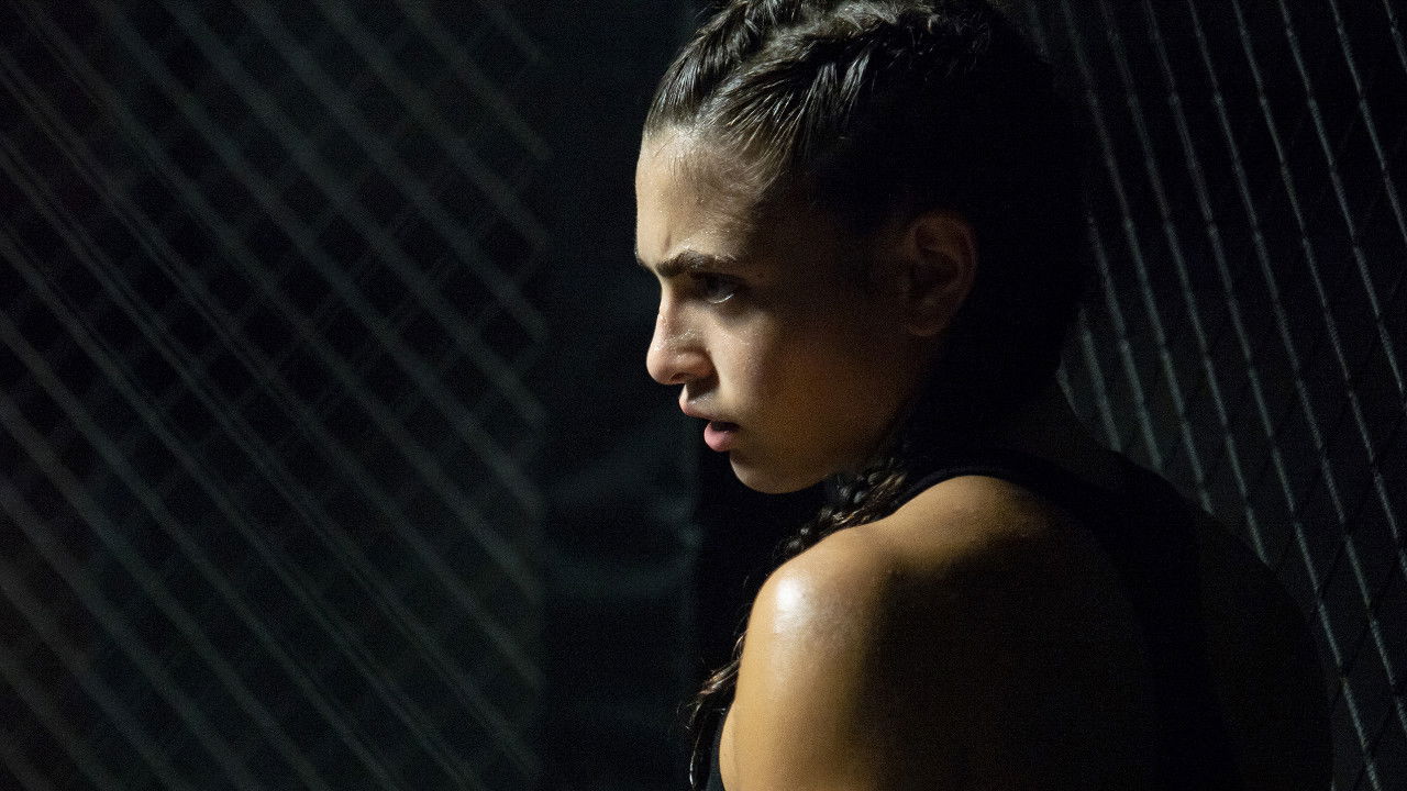 The Cage - Nella gabbia Background