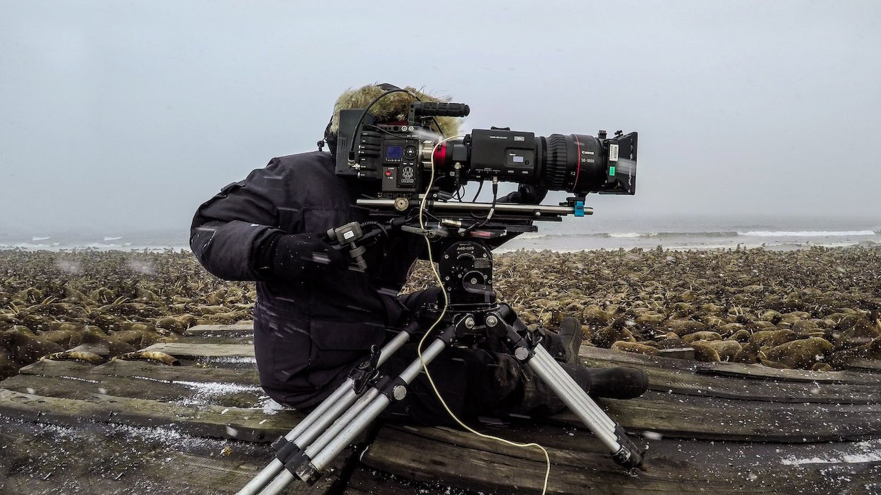 Our Planet: Behind the Scenes Background