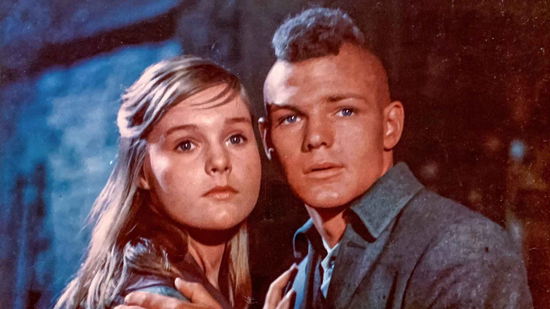 The Light in the Forest Background