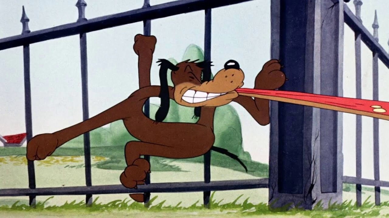 Behind the Meat-Ball Background