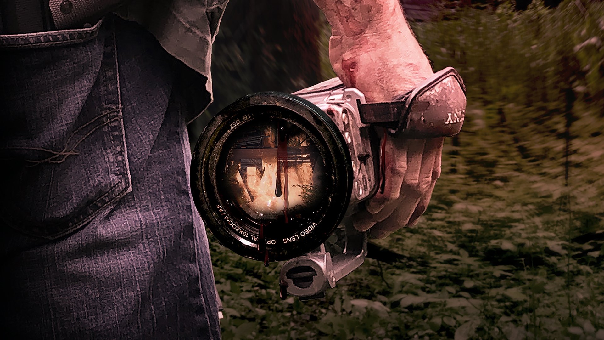 Red Woods Background