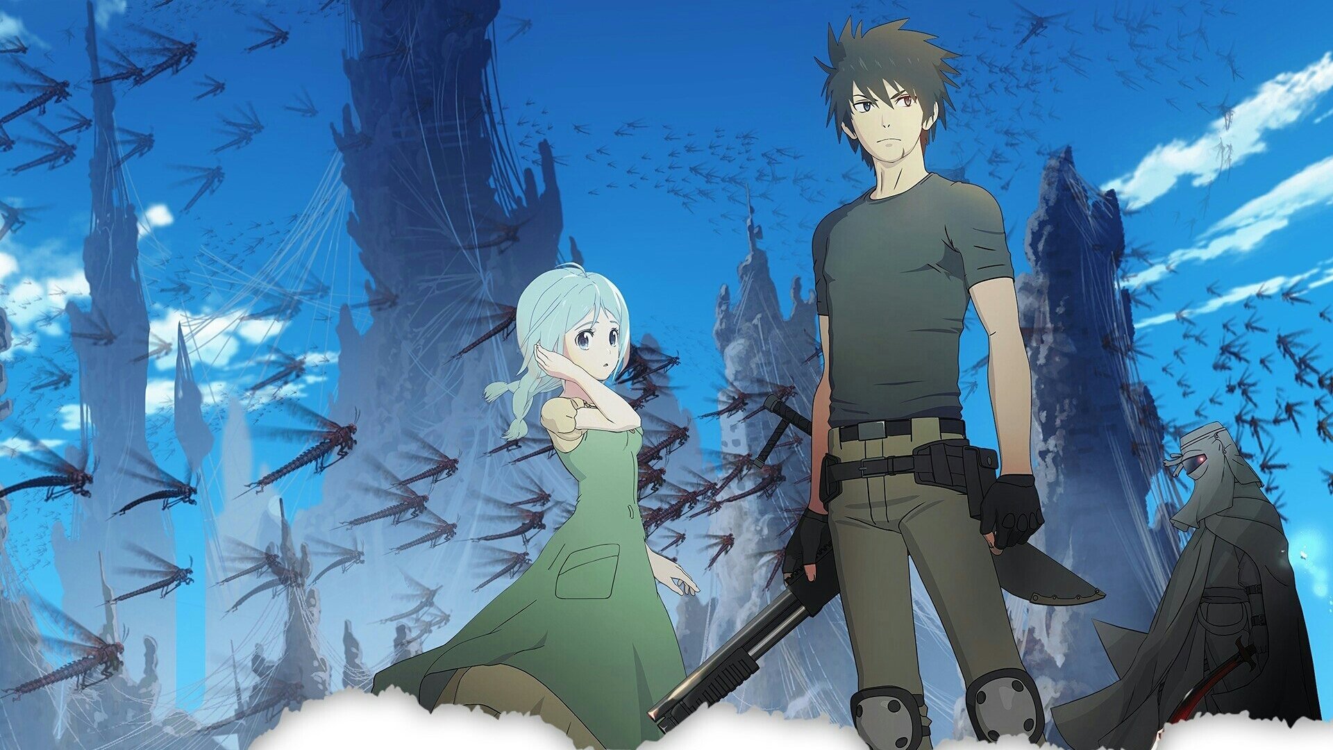 Cagaster of an Insect Cage Background