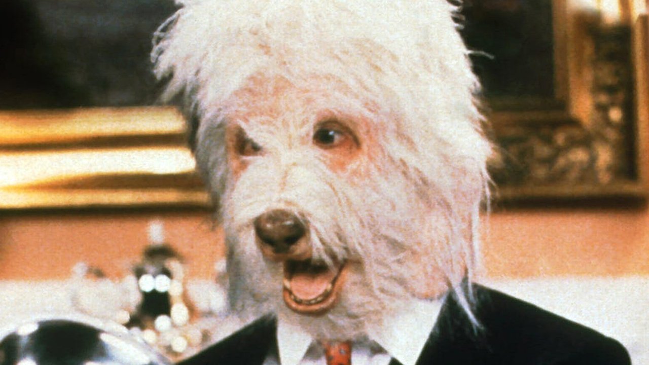 The Return of the Shaggy Dog Background