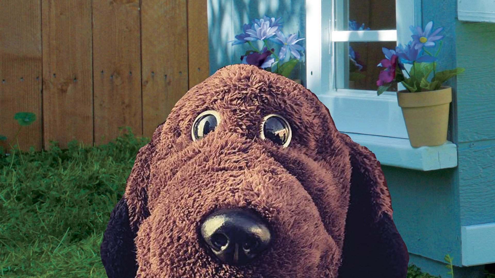 Allan The Dog Background