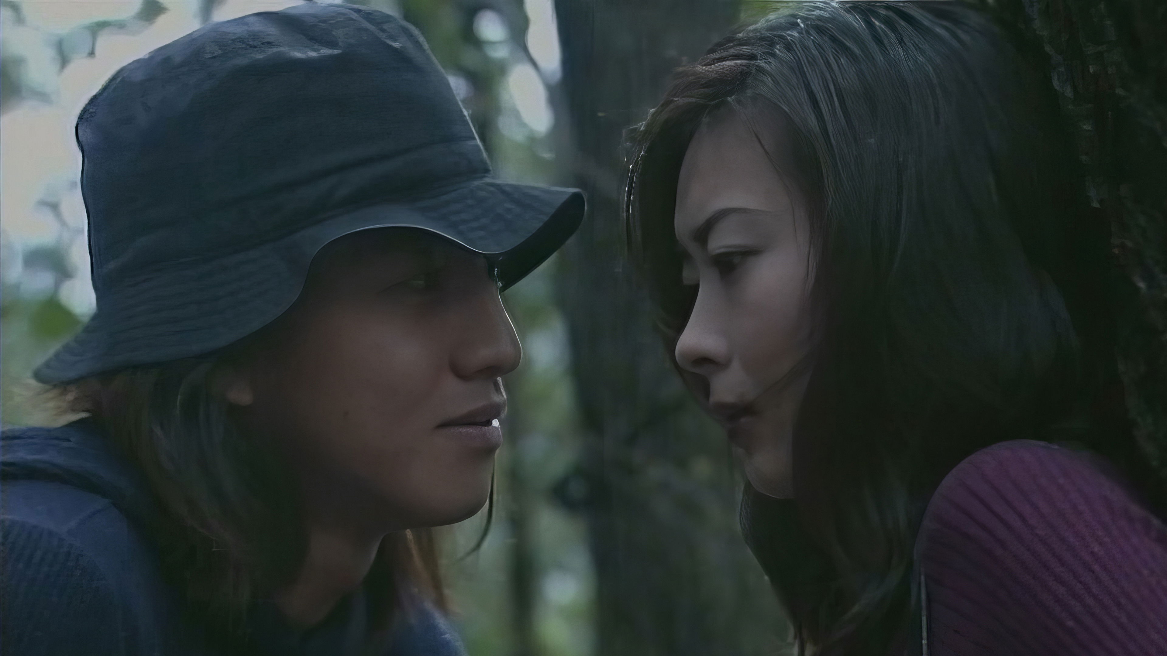 A Sleeping Forest Background