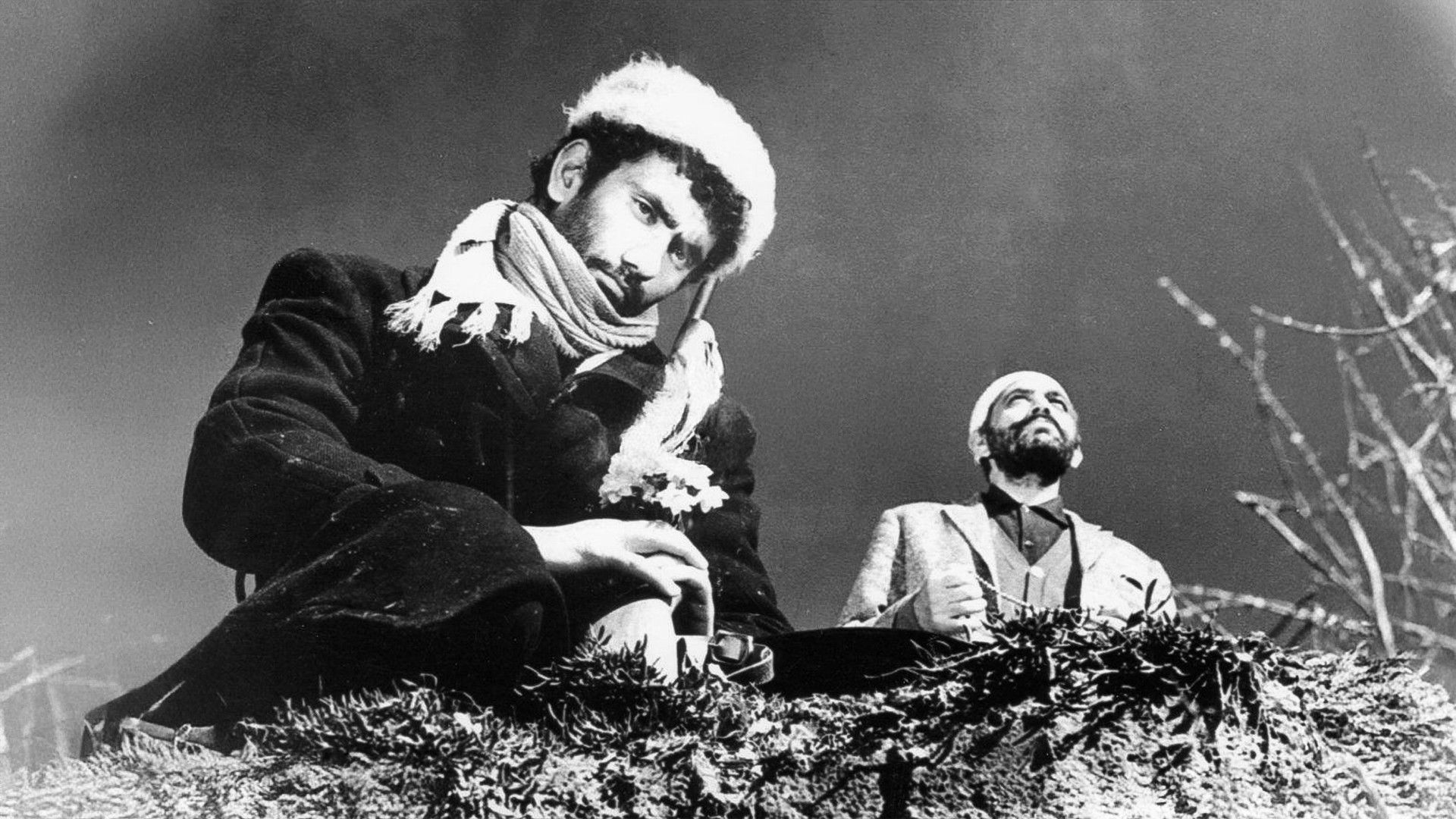 Bride of the Earth Background