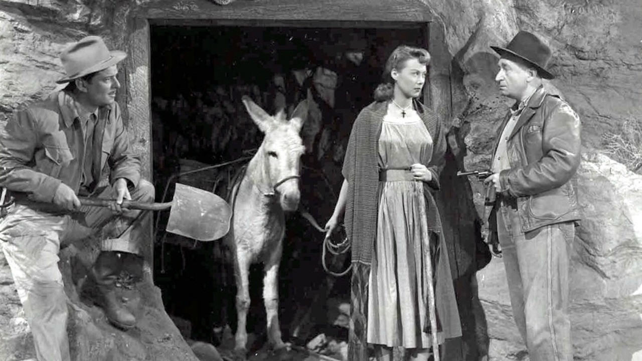 Angel in Exile Background