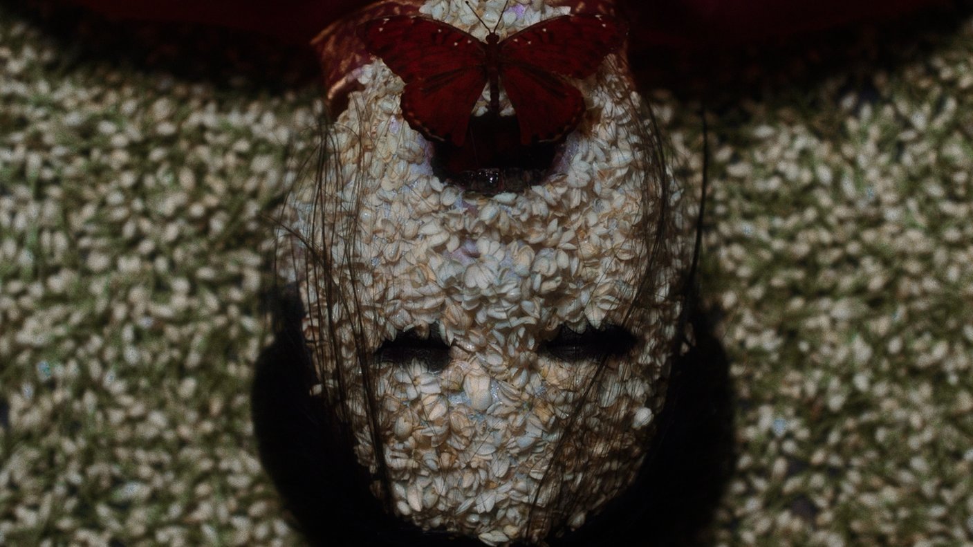 The Butterfly House Background