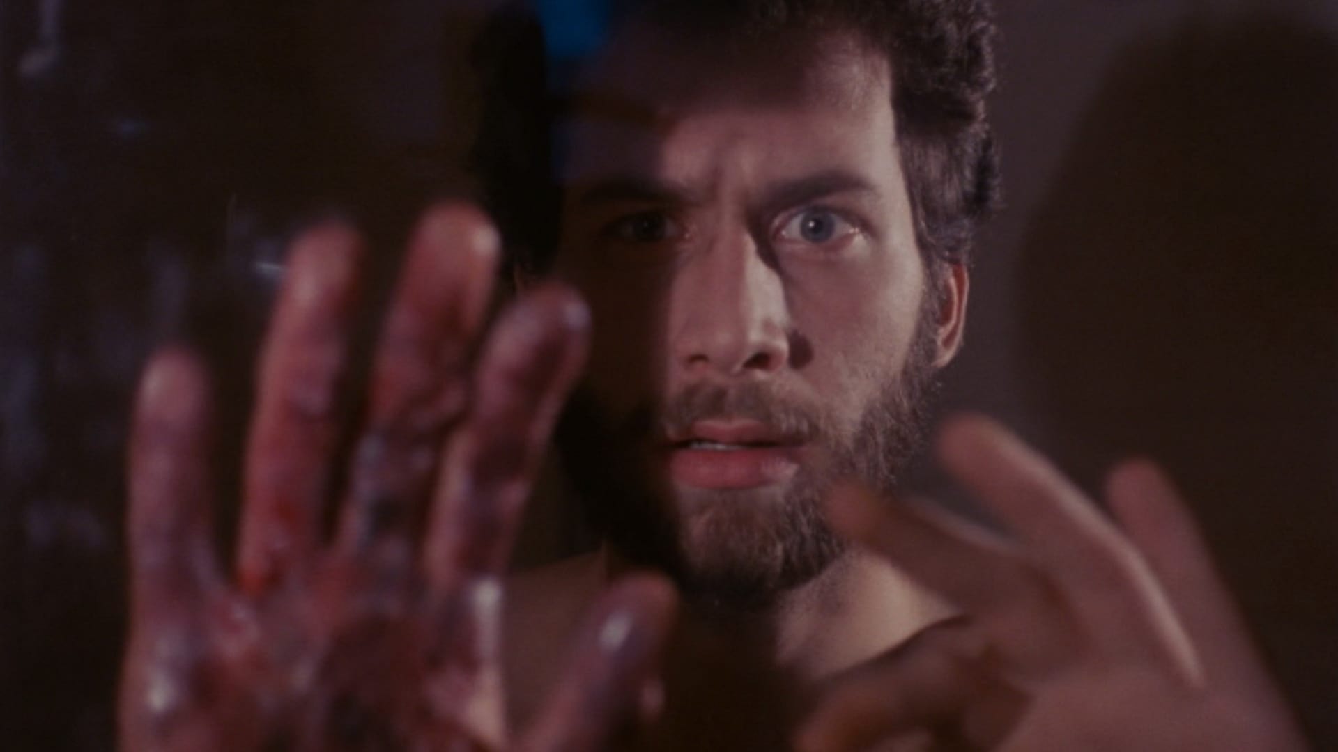 Revenge of the Living Dead Girls Background