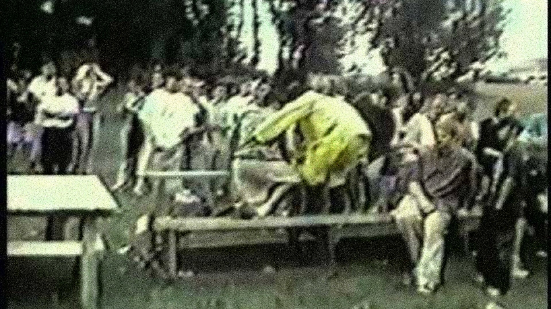 Traces of Death Background