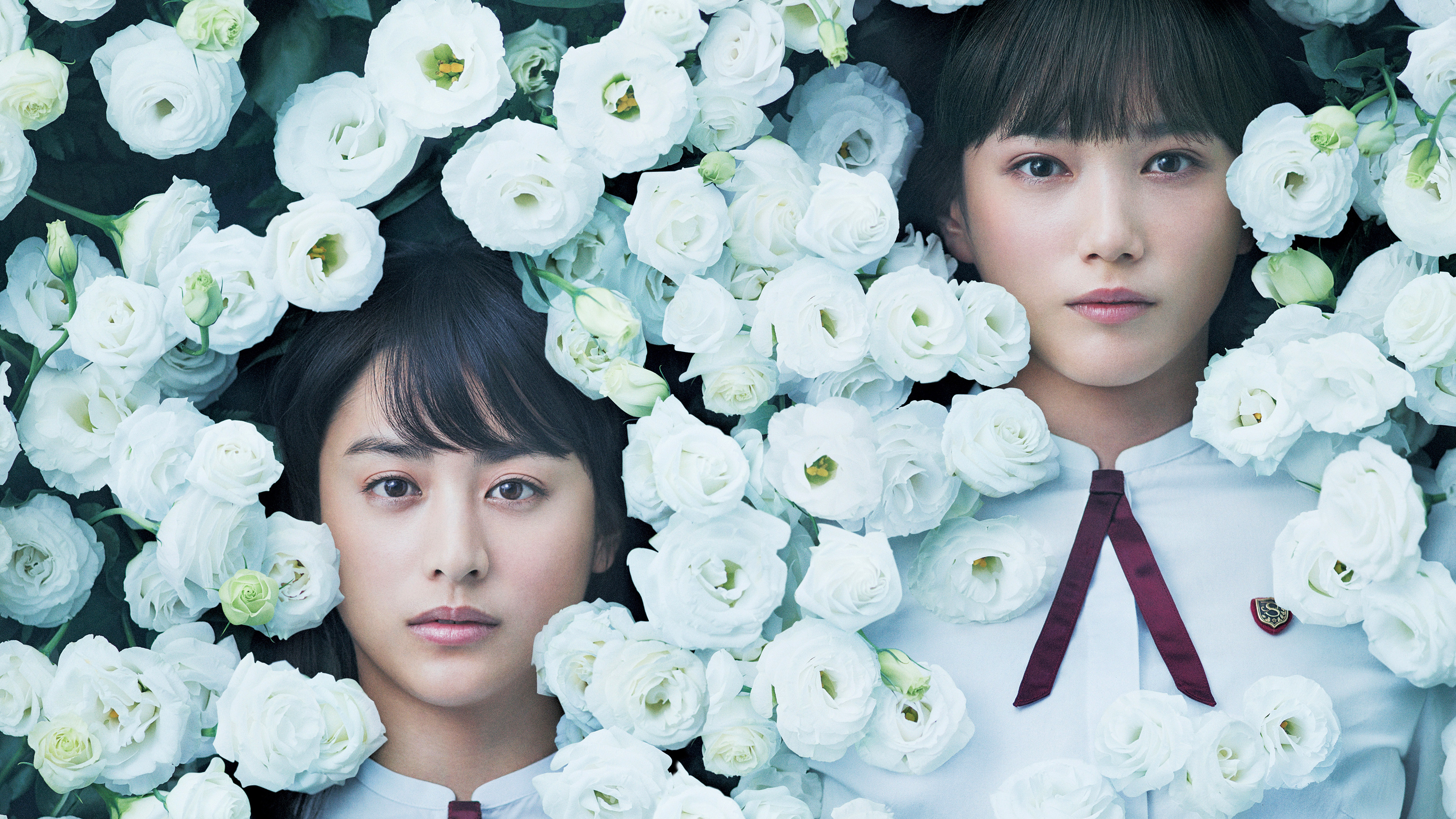 Night's Tightrope Background