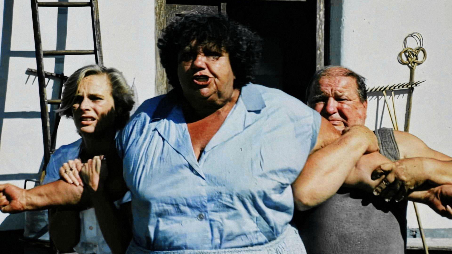 Sun, Hay and a Couple of Slaps Background