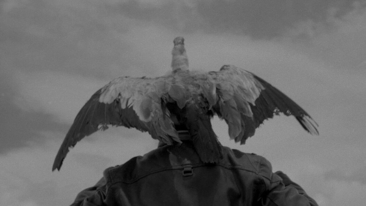 Takanakuy Background