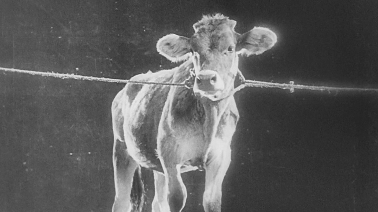 The General Line Background