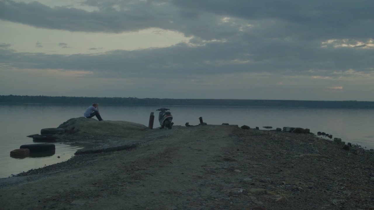 Black Dog Background