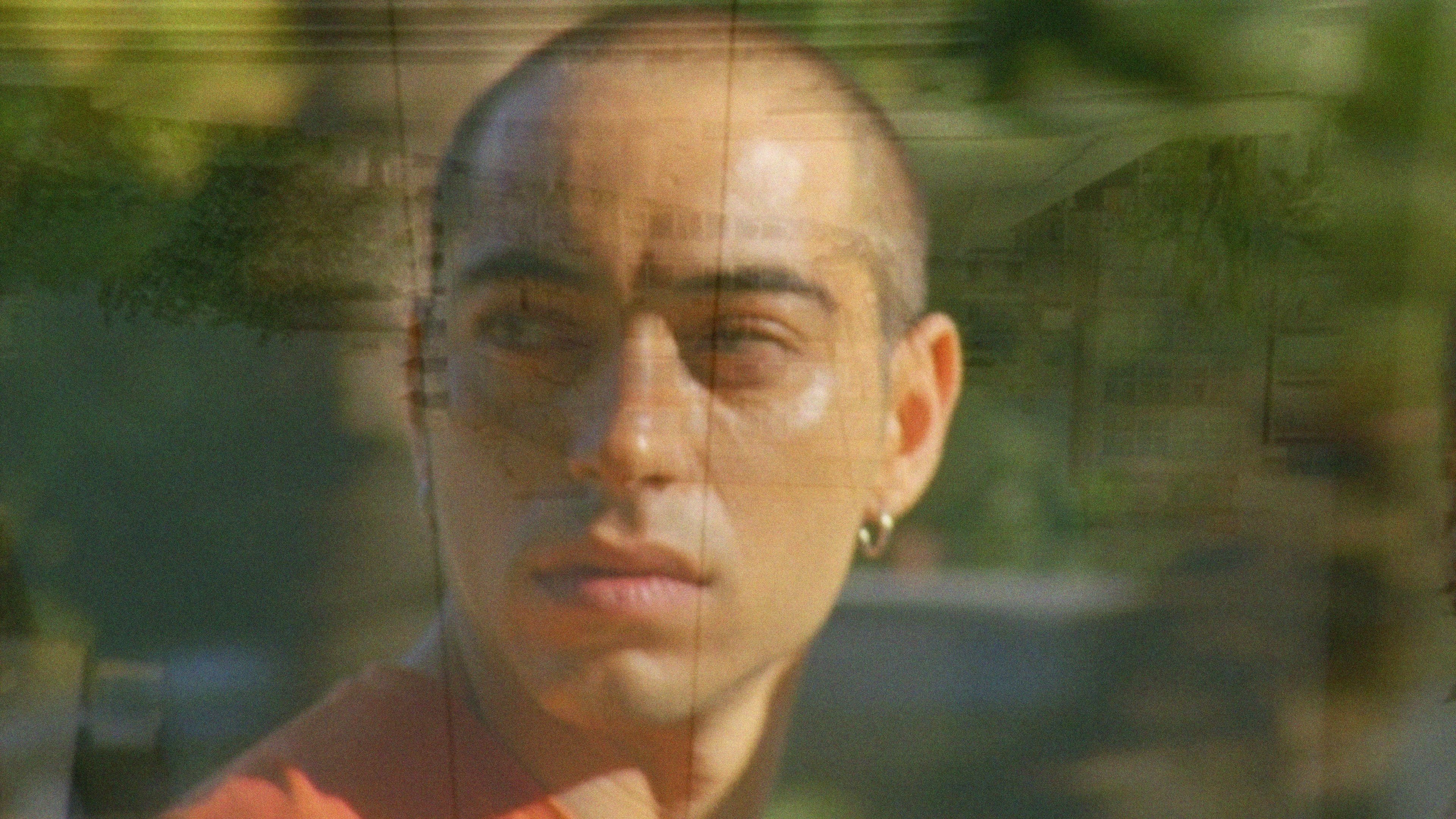 Pigeons Are Dying, When the City Is on Fire Background