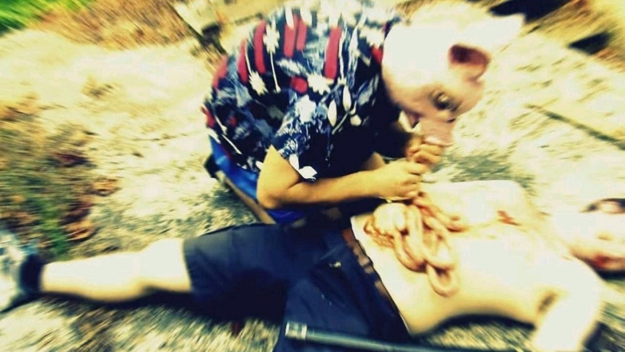 Attack of the Pig-Zombies! Background