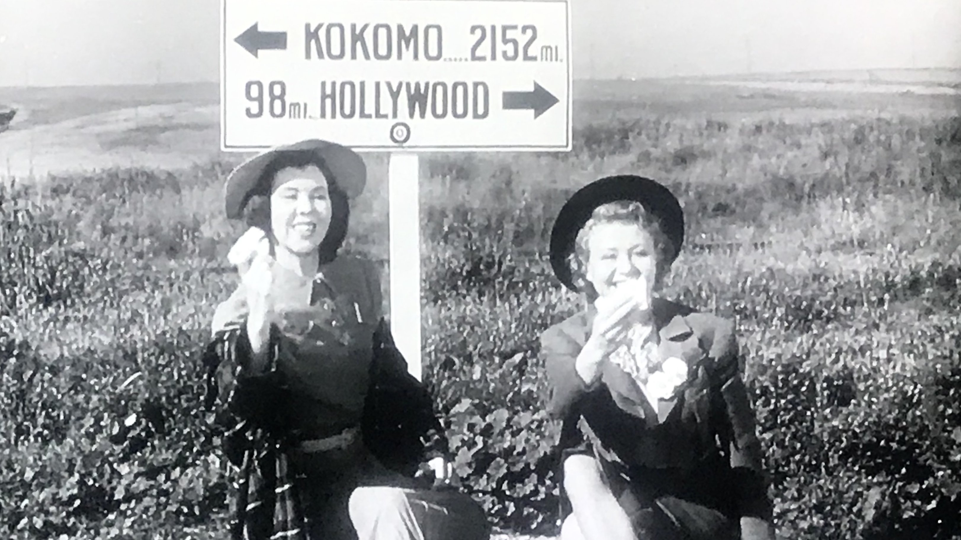 Rodeo Dough Background