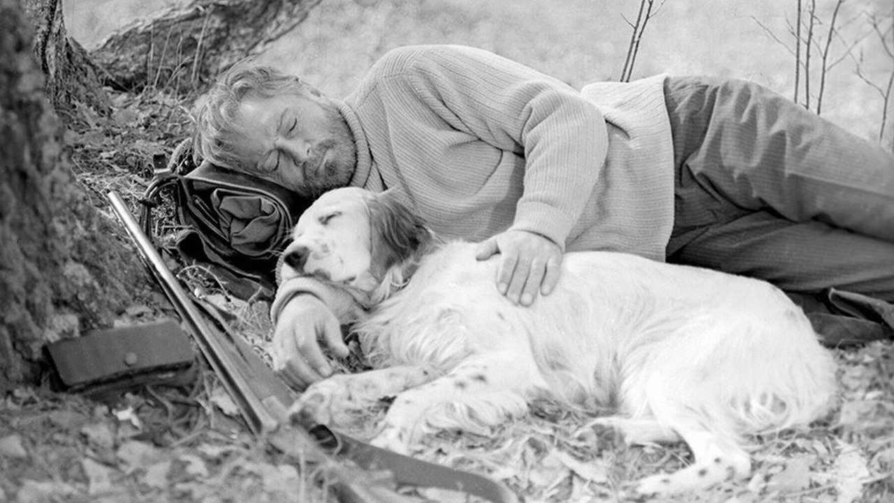 White Bim Black Ear Background