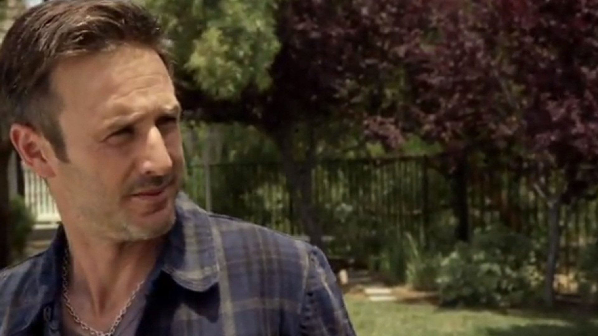 The Cottage Background