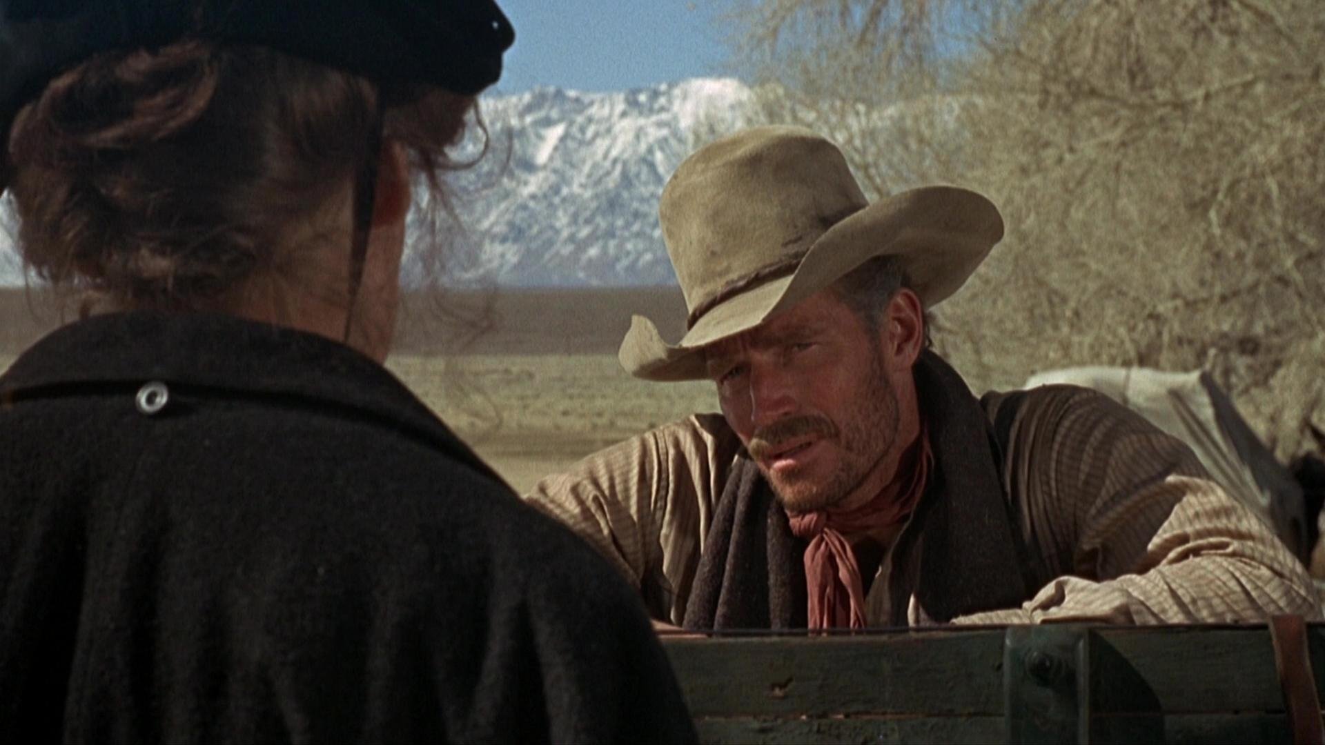 Will Penny Background